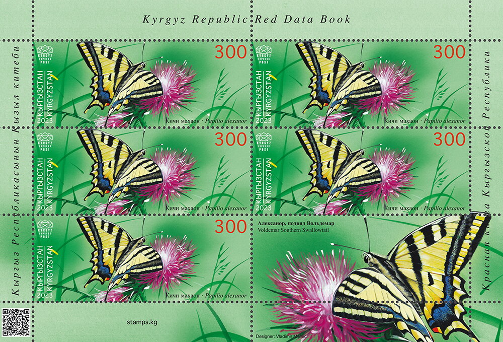 Southern Swallowtail (Papilio alexanor)