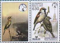 "Stamp "A bird of the year" – House sparrow+1 coupon"