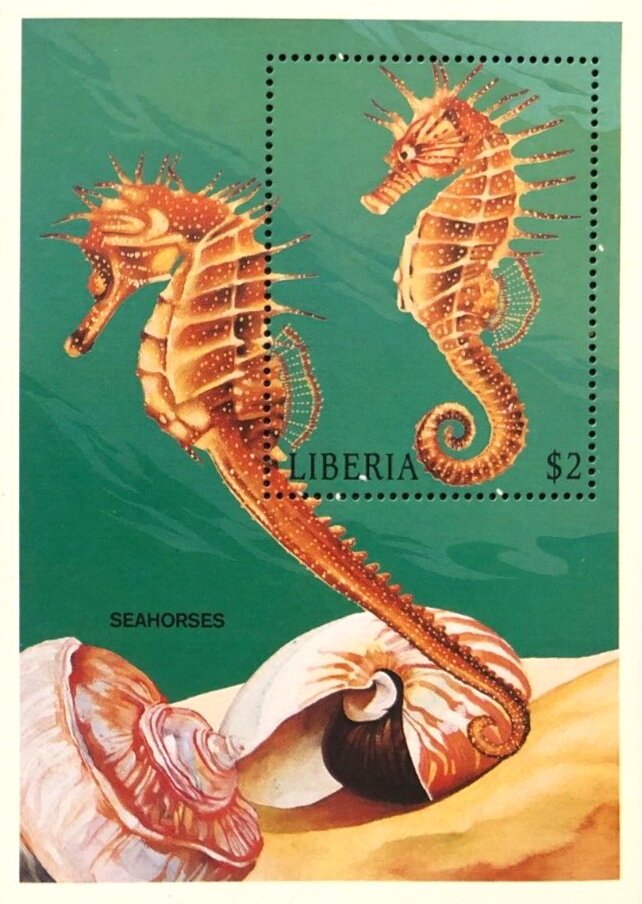 Seahorse