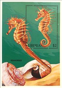 Souvenir Sheet, Seahorse, Liberia,  , Animals (Fauna), Fishes, Seahorses