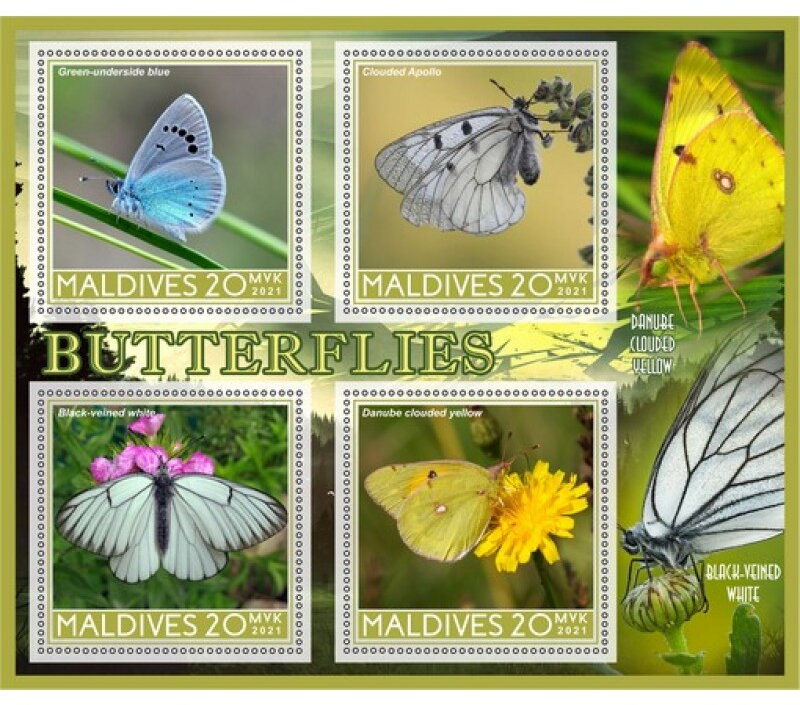 Fauna Butterflies