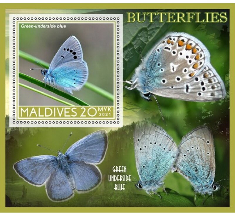 Fauna Butterflies