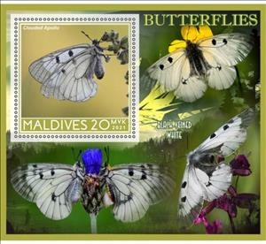 Souvenir Sheet, Fauna Butterflies, Maldives,  , Animals (Fauna), Butterflies and Moths, Insects