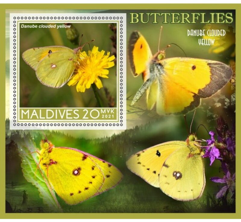 Fauna Butterflies