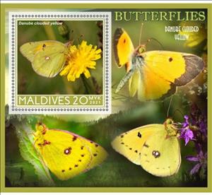 Souvenir Sheet, Fauna Butterflies, Maldives,  , Animals (Fauna), Butterflies and Moths, Insects