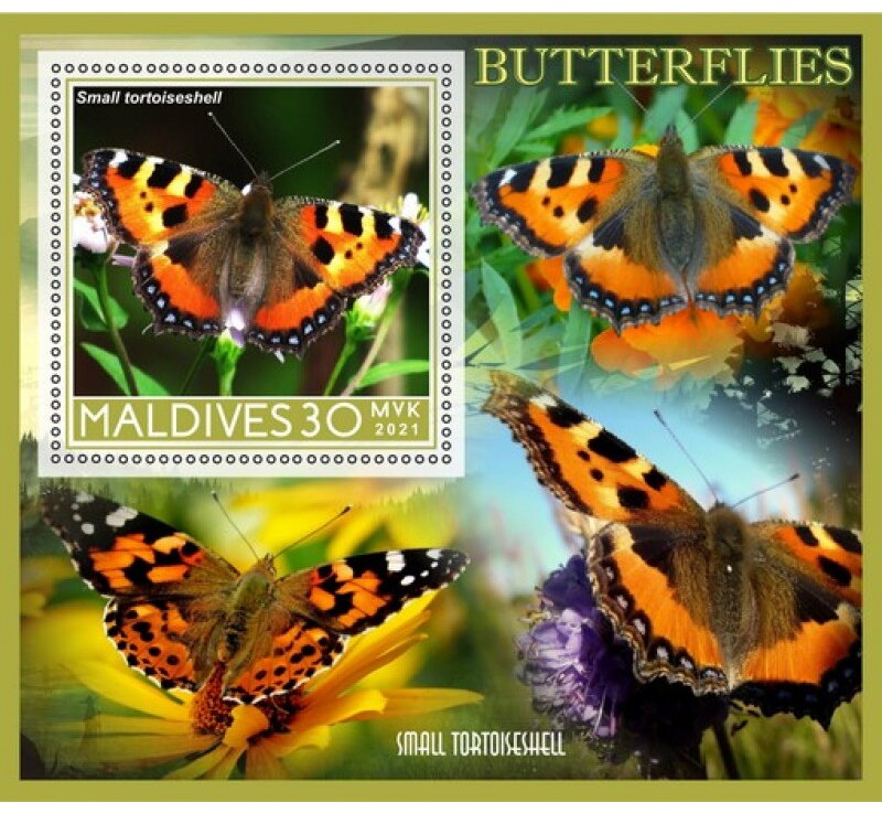 Fauna Butterflies