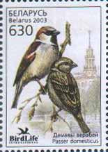 "Stamp "A bird of the year" – House sparrow"