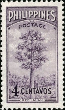 Red Lauan Tree