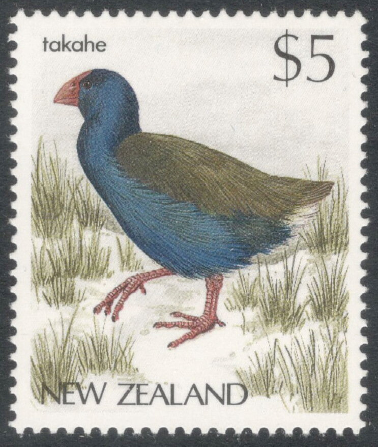 South Island Takahe (Porphyrio hochstetteri )