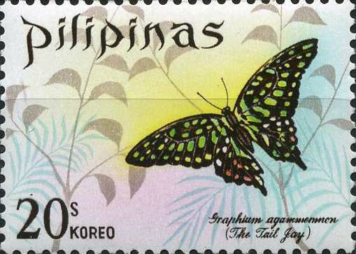 Tailed Jay (Graphium agamemnon)