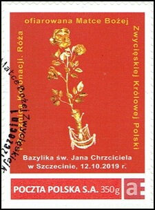 Rose offered to Our Lady the Victorious Queen of Poland