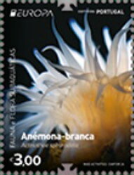Stamp, Sandalled Anemone (Actinothoe sphyrodeta), Portugal,  , C.E.P.T. / Europe, Sea Life