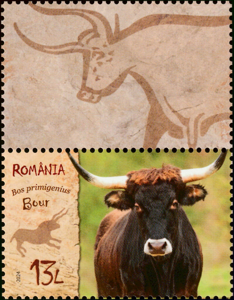 Aurochs (Bos primigenius)
