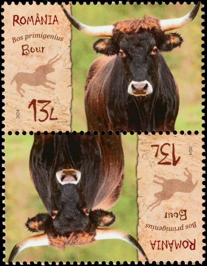 Aurochs (Bos primigenius)