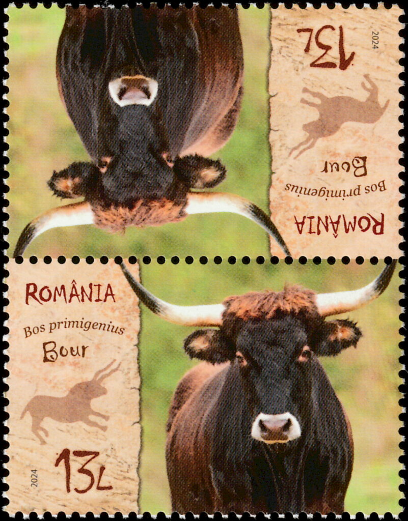 Aurochs (Bos primigenius)