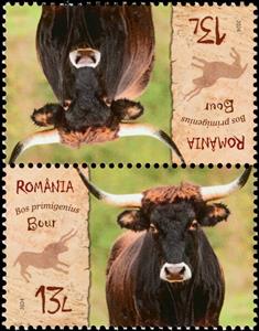 Tete-Beche, Aurochs (Bos primigenius), Romania,  , Animals (Fauna), Cattle, Mammals