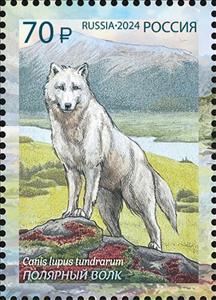 Stamp, Polar Wolf (Canis lupus), Russia,  , Animals (Fauna), Anniversaries and Jubilees, Mammals, Wolves