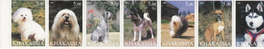 Dogs