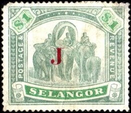 Asian Elephant (Elephas maximus) with Howdah