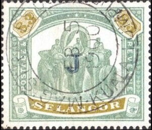 Asian Elephant (Elephas maximus) with Howdah