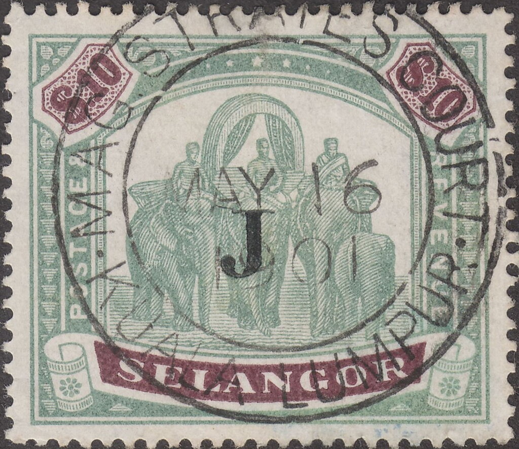 Asian Elephant (Elephas maximus) with Howdah