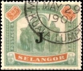 Asian Elephant (Elephas maximus) with Howdah