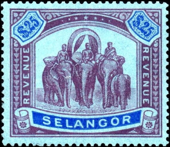 Asian Elephant (Elephas maximus) with Howdah