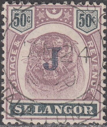 Tiger (Panthera tigris)