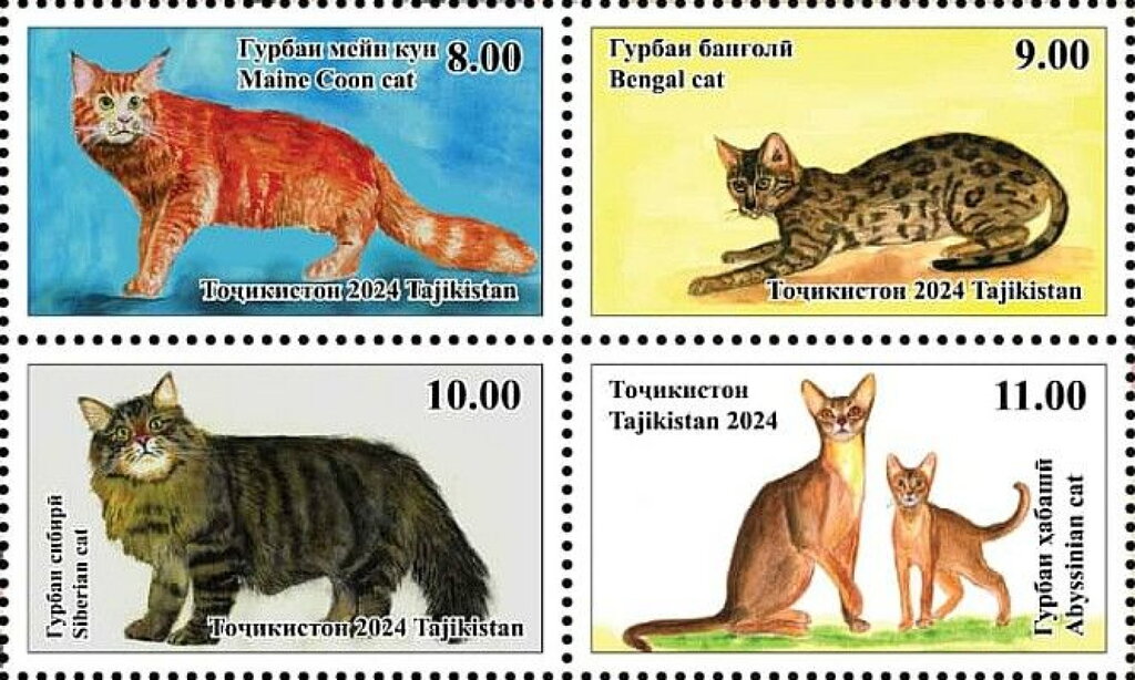 Cat Breeds