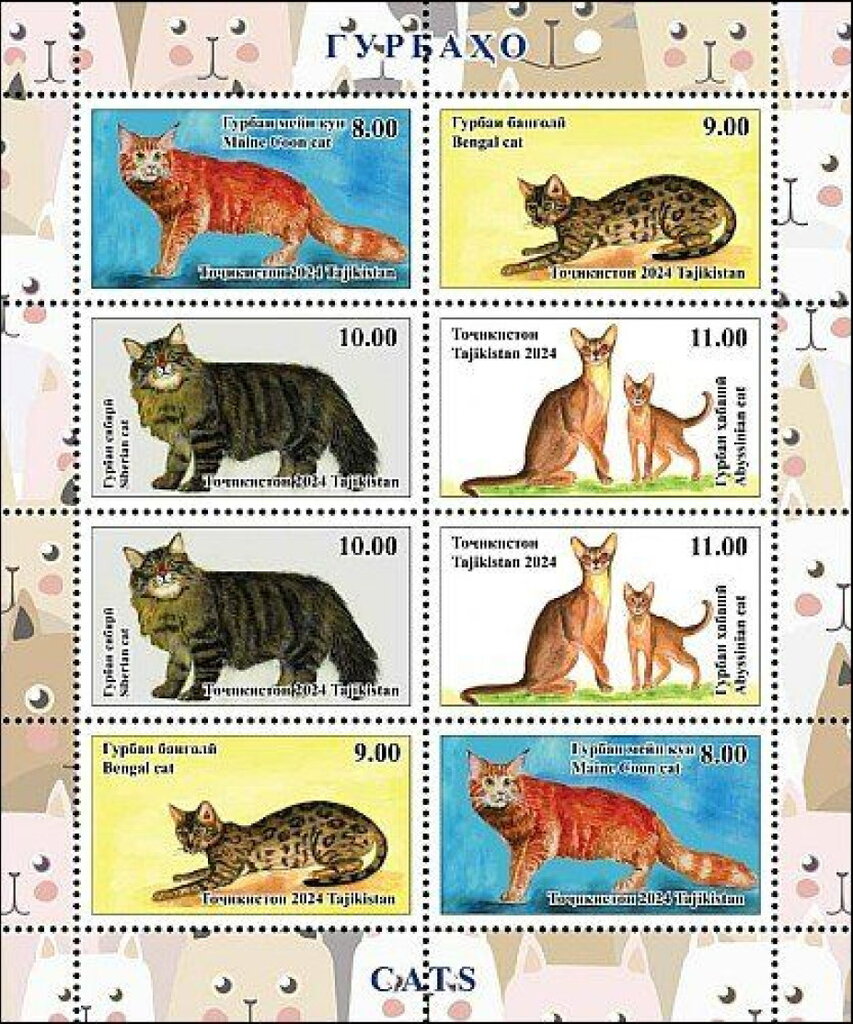 Cat Breeds