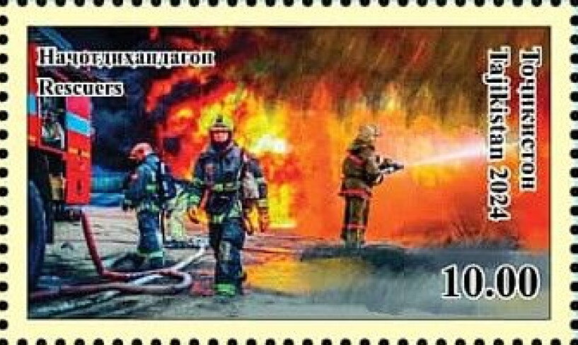 Fire Brigade at Fire
