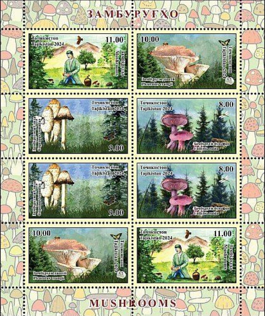 Mushrooms of Tajikistan