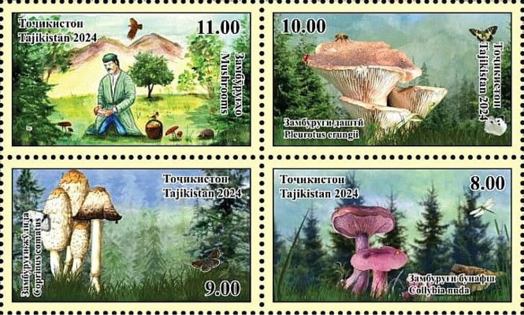 Mushrooms of Tajikistan