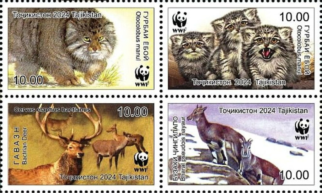 World Wildlife Fund : Fauna of Tajikistan