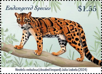Cloud Leopard (Neofelis nebulosa)