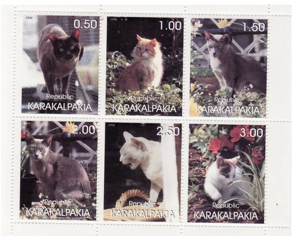 Cats