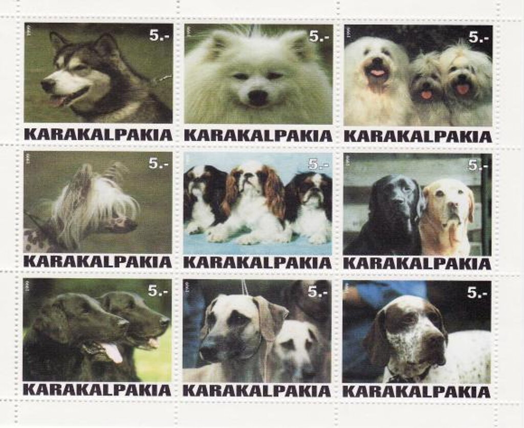 Dogs