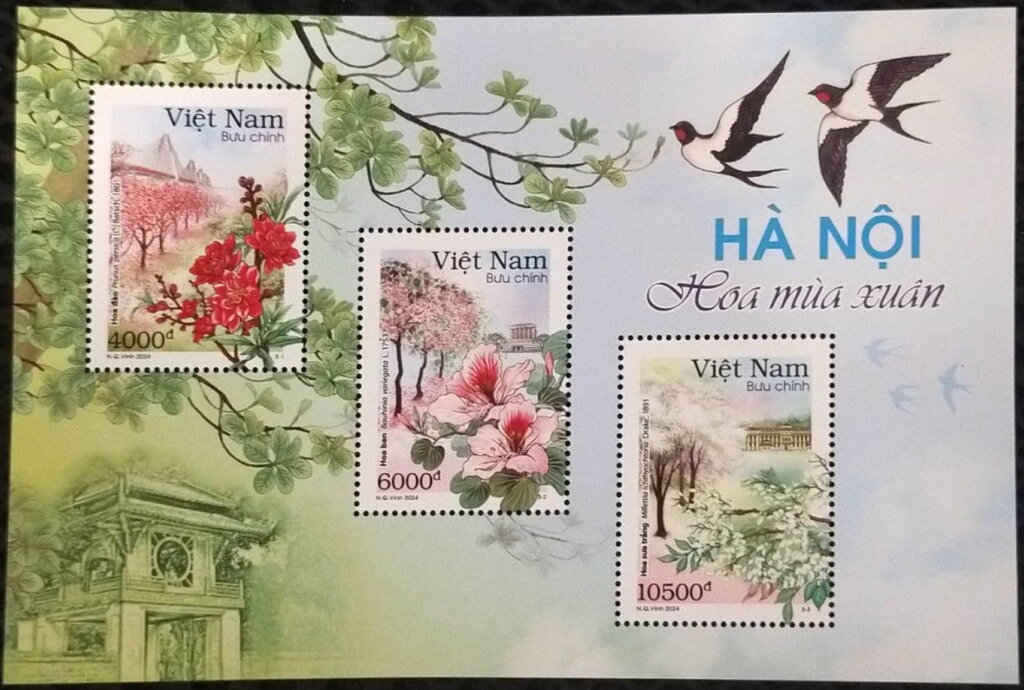 Floral Seasons of Hanoi, Series I