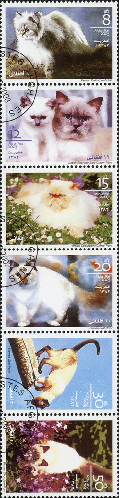 Se-tenant, Cats 2003 Se-tenent, Afghanistan,  , Animals (Fauna), Cats