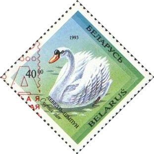 Mute Swan (Cygnus olor) - Surcharge and Overprint