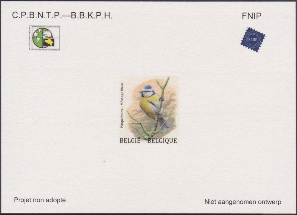 Eurasian Blue Tit (Cyanistes caeruleus)