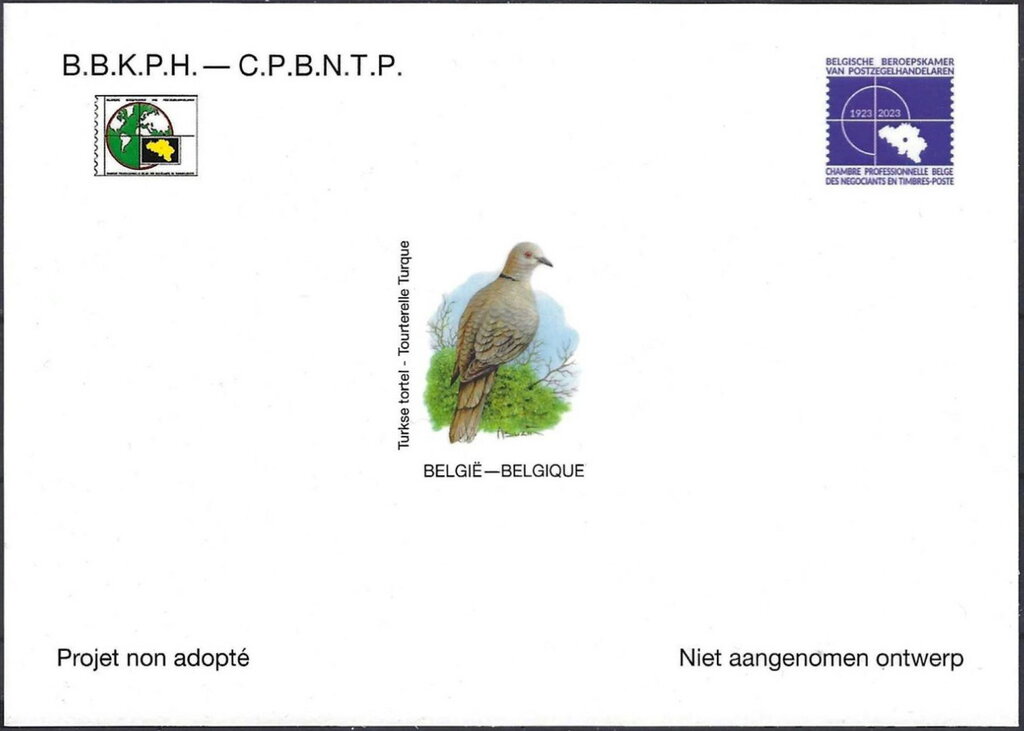 Eurasian Collared Dove-Turkish Dove (Streptopelia decaocto)