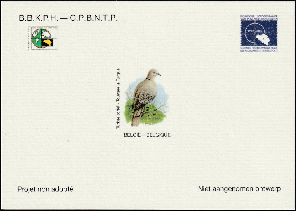 Eurasian Collared Dove-Turkish Dove (Streptopelia decaocto)