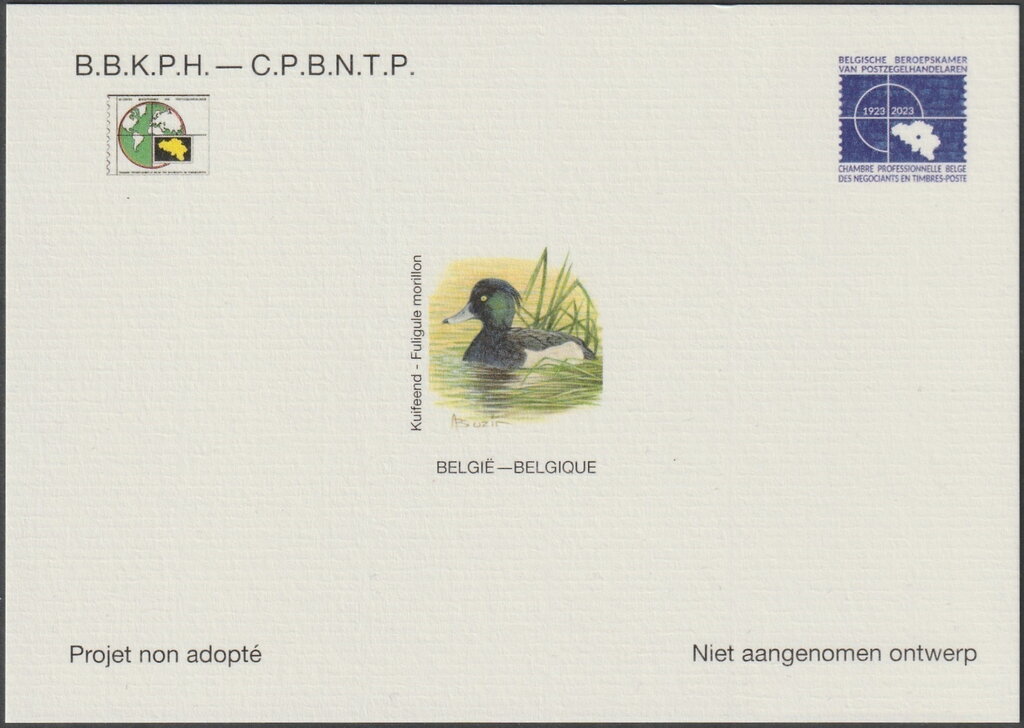 Tufted Duck (Aythya fuligula)