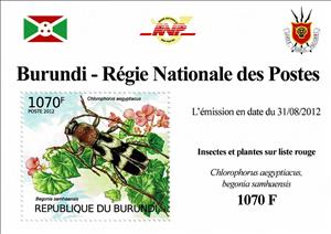 Souvenir Sheet, Beetle (Chlorophonus aegyptiacus), Begonia (Begonia samhaens, Burundi,  , Animals (Fauna), Beetles, Flowers, Insects, Plants (Flora)