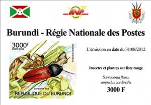 Souvenir Sheet, Cardinal Click Beetle (Ampedus cardinalis), Yellow Pitcherpl, Burundi,  , Animals (Fauna), Beetles, Flowers, Insects, Plants (Flora)