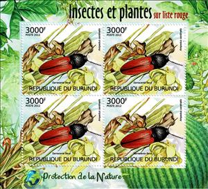 Mini Sheet, Cardinal Click Beetle (Ampedus cardinalis), Yellow Pitcherpl, Burundi,  , Animals (Fauna), Beetles, Flowers, Insects, Plants (Flora)