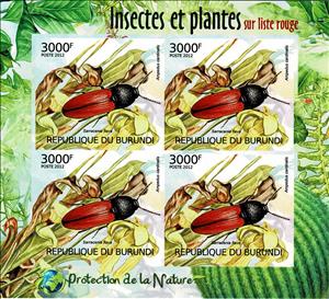 Mini Sheet, Cardinal Click Beetle (Ampedus cardinalis), Yellow Pitcherpl, Burundi,  , Animals (Fauna), Beetles, Flowers, Insects, Plants (Flora)