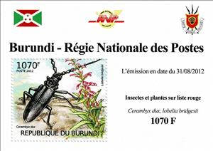 Souvenir Sheet, Ground Beetle (Cerambyx dux), Tupa Rosada (Lobelia bridgesii, Burundi,  , Animals (Fauna), Beetles, Flowers, Insects, Plants (Flora)