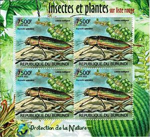 Mini Sheet, The Goldstreifiger (Buprestis splendens), Blue Latan Palm, Burundi,  , Animals (Fauna), Beetles, Flowers, Insects, Plants (Flora)